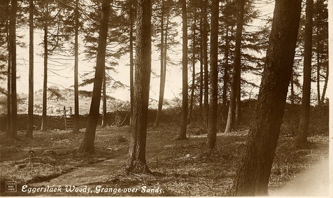 Picture Grange-over-Sands Eggerslack Woods