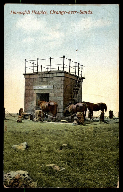 Hampsfell Hospice Horses 
Postcard